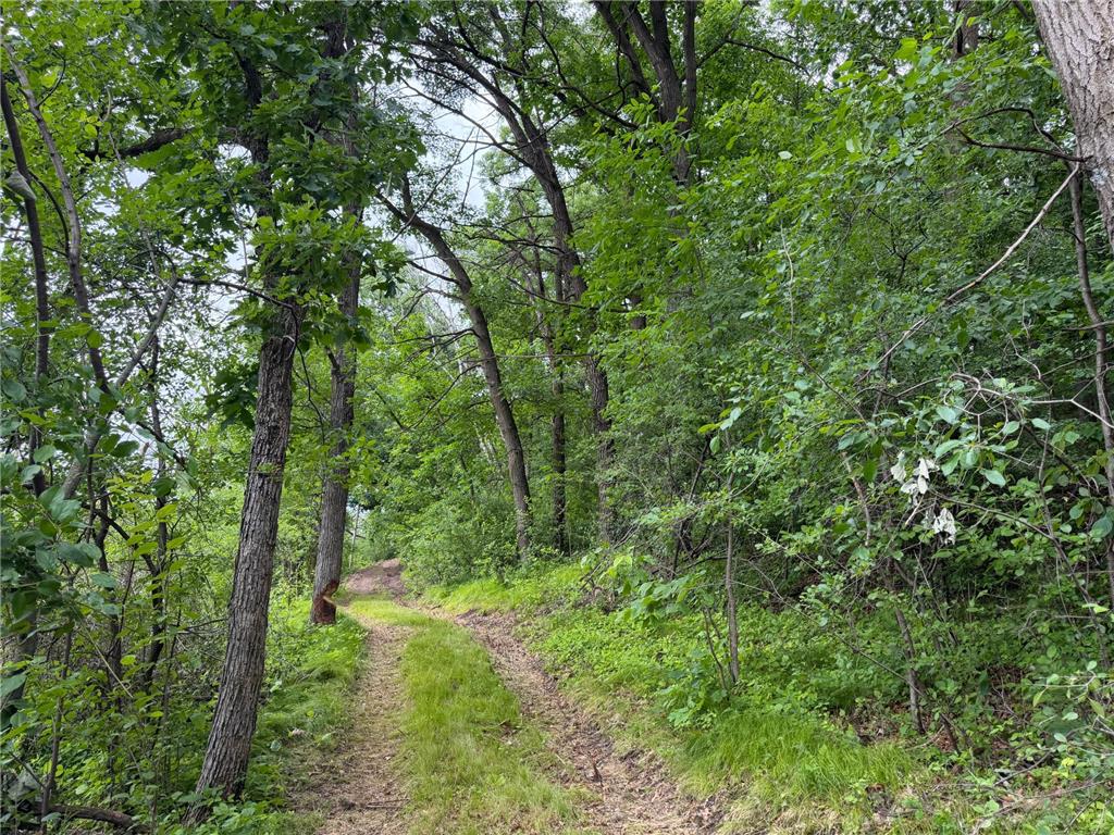 TBD 130th Street Burtrum MN 56318 7095387 image27