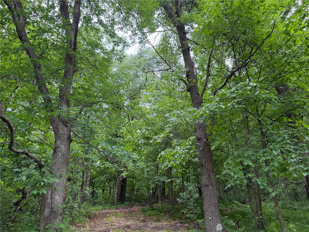 TBD 130th Street Burtrum MN 56318 7095387 image30