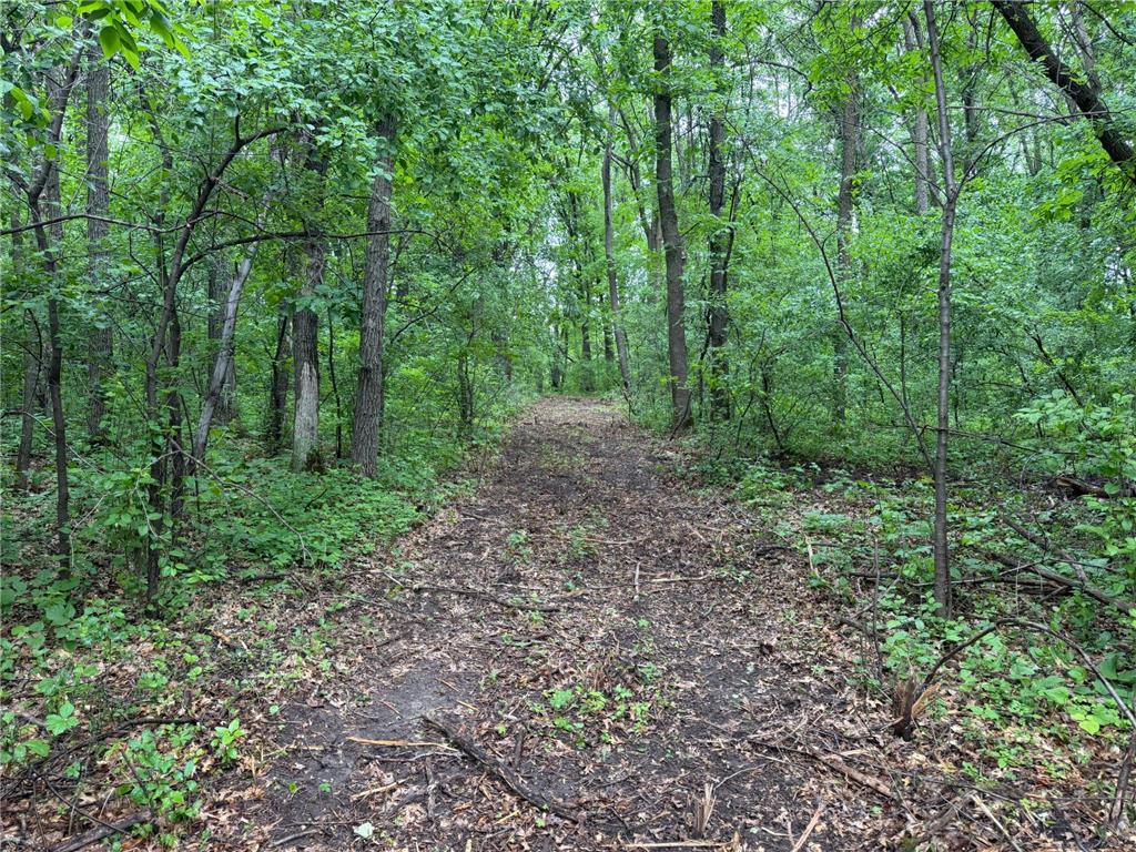 TBD 130th Street Burtrum MN 56318 7095387 image32