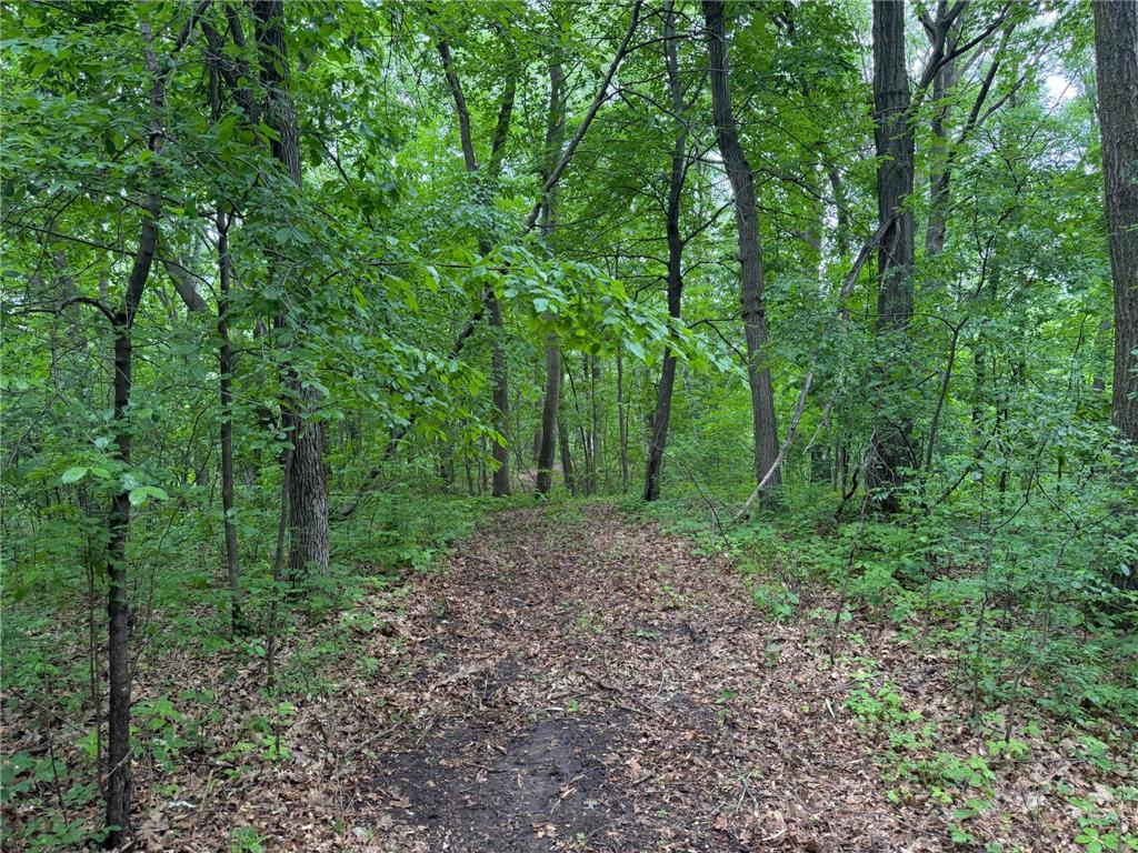 TBD 130th Street Burtrum MN 56318 7095387 image33