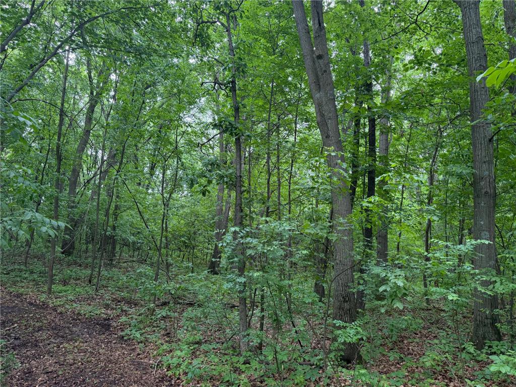 TBD 130th Street Burtrum MN 56318 7095387 image34