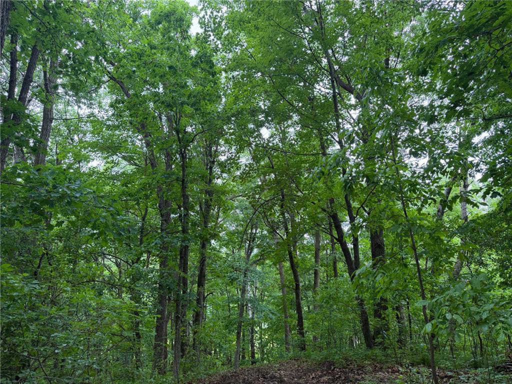 TBD 130th Street Burtrum MN 56318 7095387 image35
