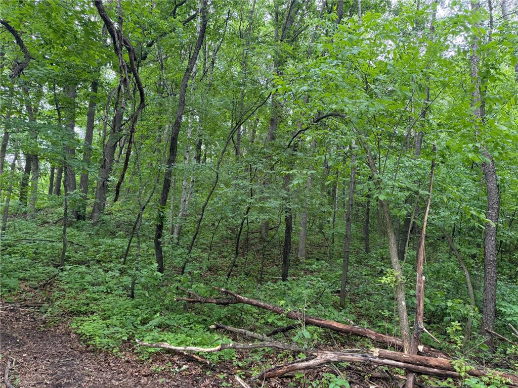 TBD 130th Street Burtrum MN 56318 7095387 image37