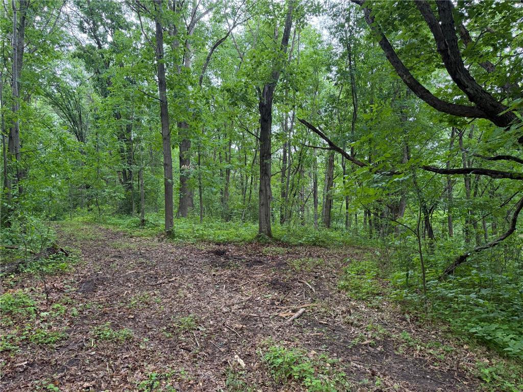 TBD 130th Street Burtrum MN 56318 7095387 image38