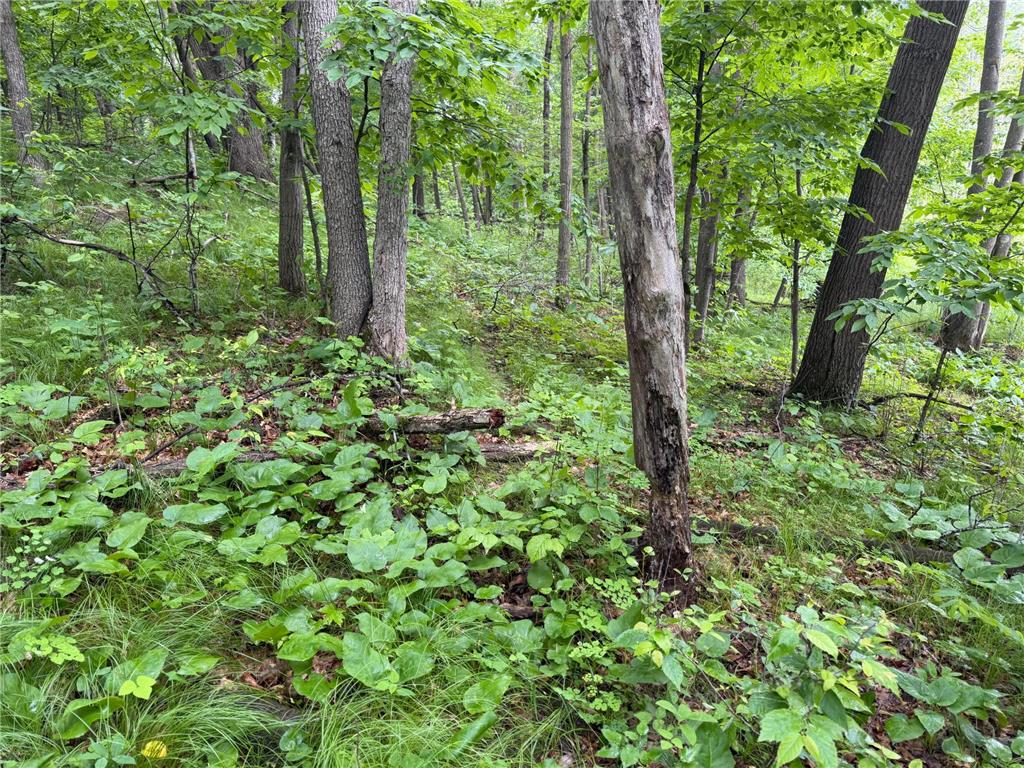 TBD 130th Street Burtrum MN 56318 7095387 image39
