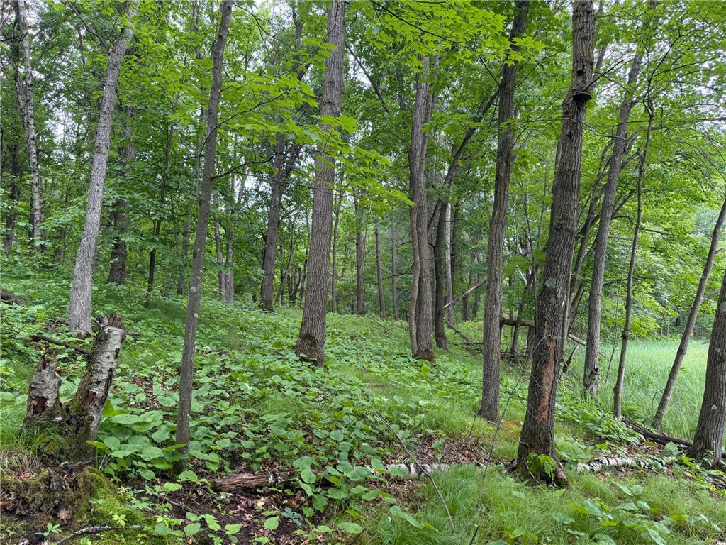 TBD 130th Street Burtrum MN 56318 7095387 image41