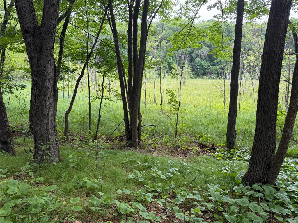 TBD 130th Street Burtrum MN 56318 7095387 image42