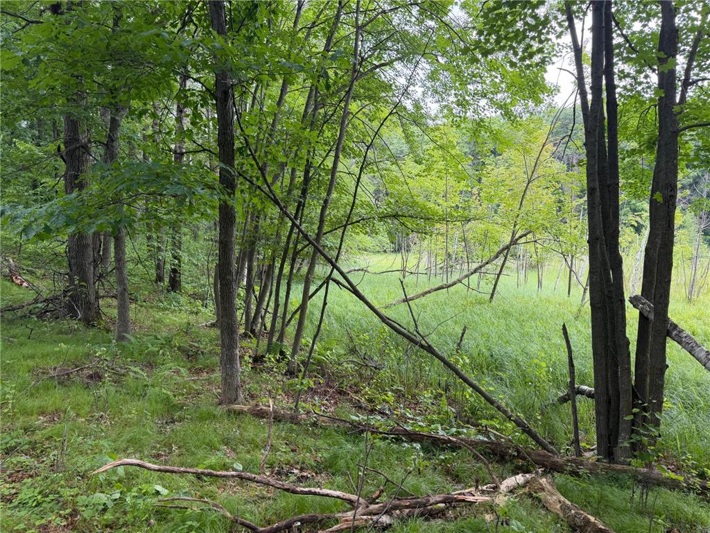 TBD 130th Street Burtrum MN 56318 7095387 image43