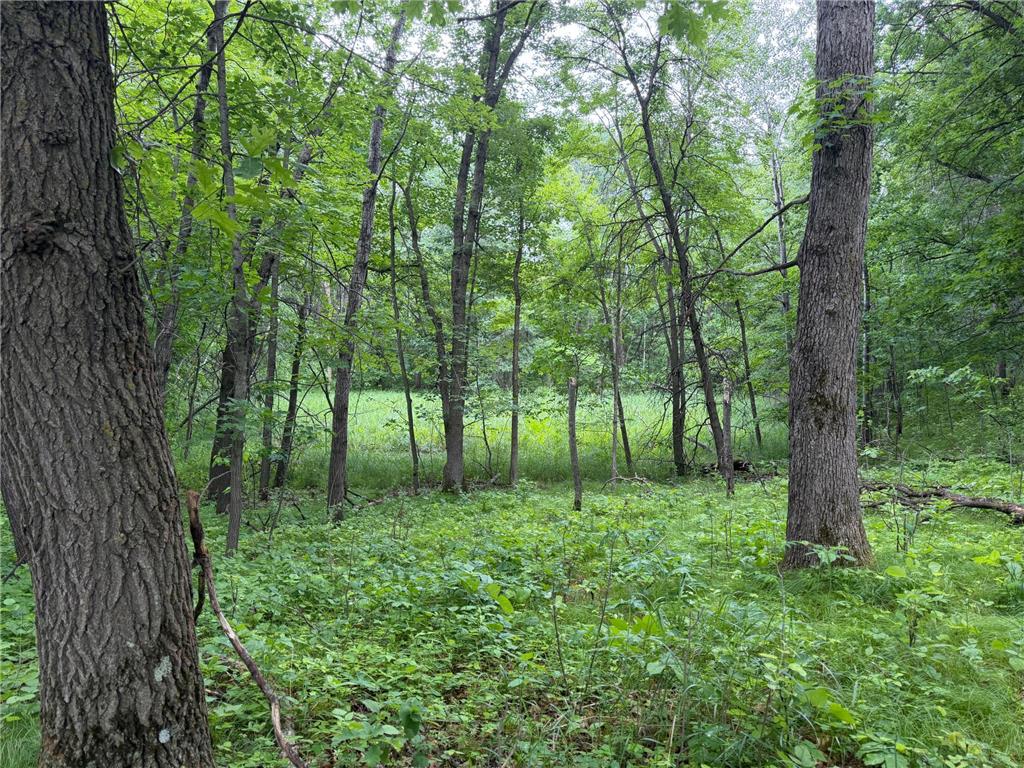 TBD 130th Street Burtrum MN 56318 7095387 image44