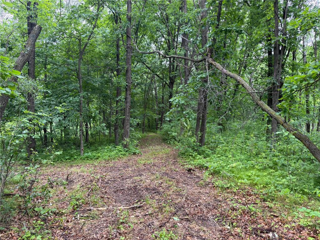 TBD 130th Street Burtrum MN 56318 7095387 image45