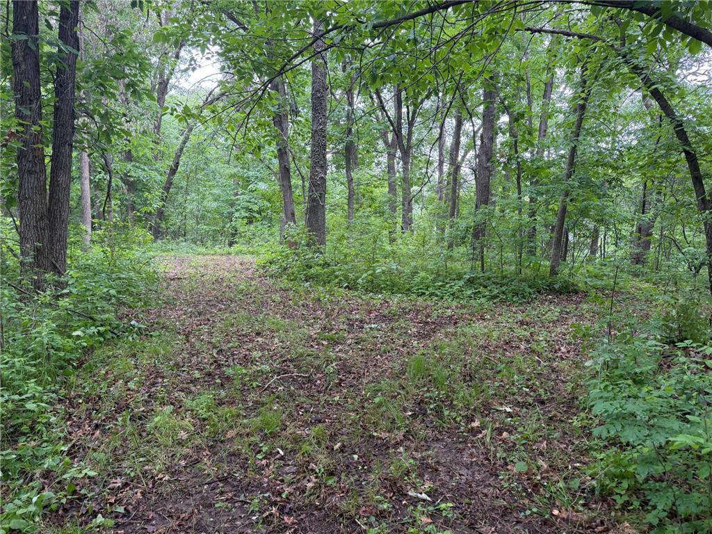 TBD 130th Street Burtrum MN 56318 7095387 image46