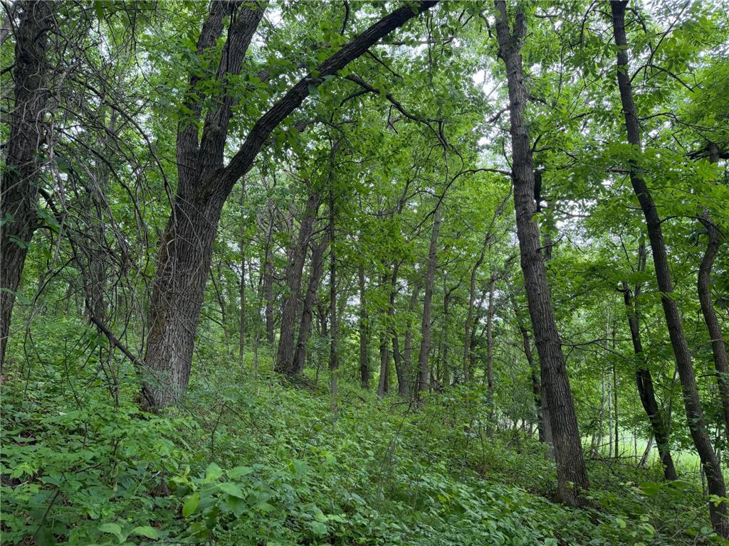 TBD 130th Street Burtrum MN 56318 7095387 image48
