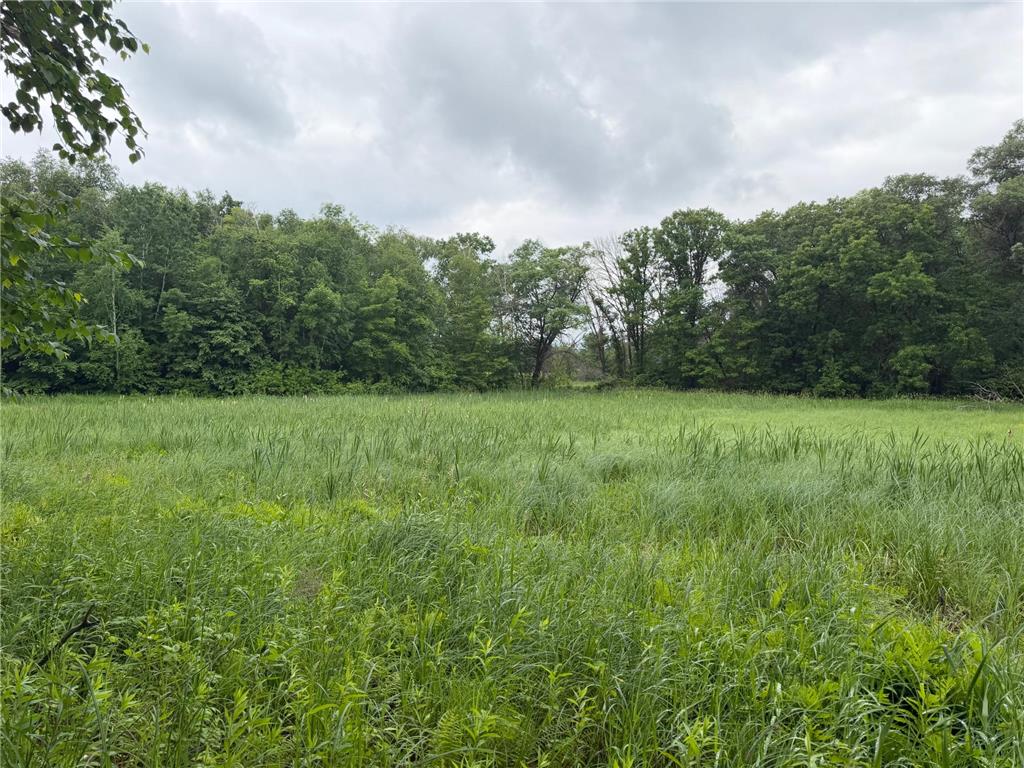 TBD 130th Street Burtrum MN 56318 7095387 image49