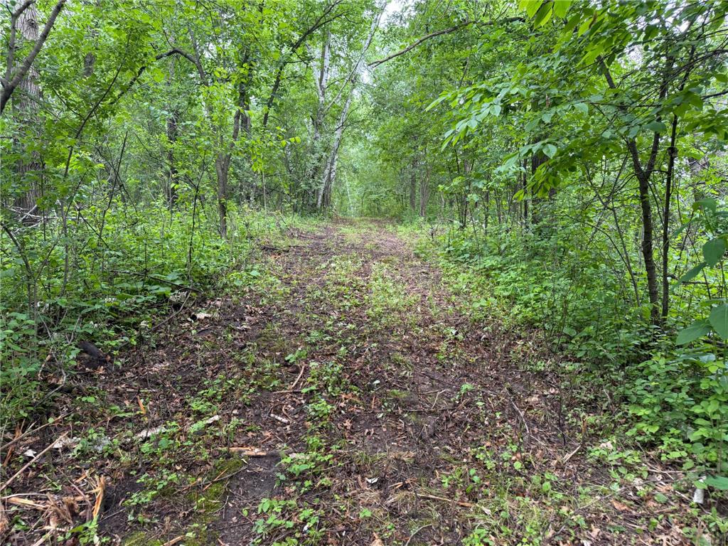 TBD 130th Street Burtrum MN 56318 7095387 image51