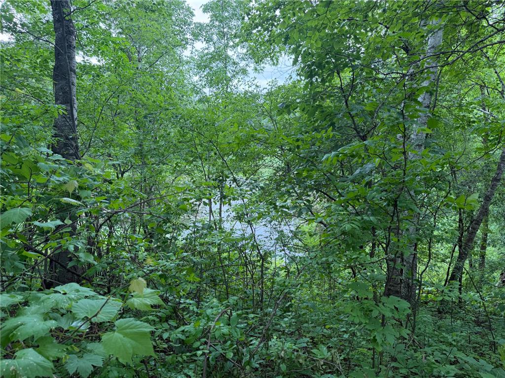 TBD 130th Street Burtrum MN 56318 7095387 image52