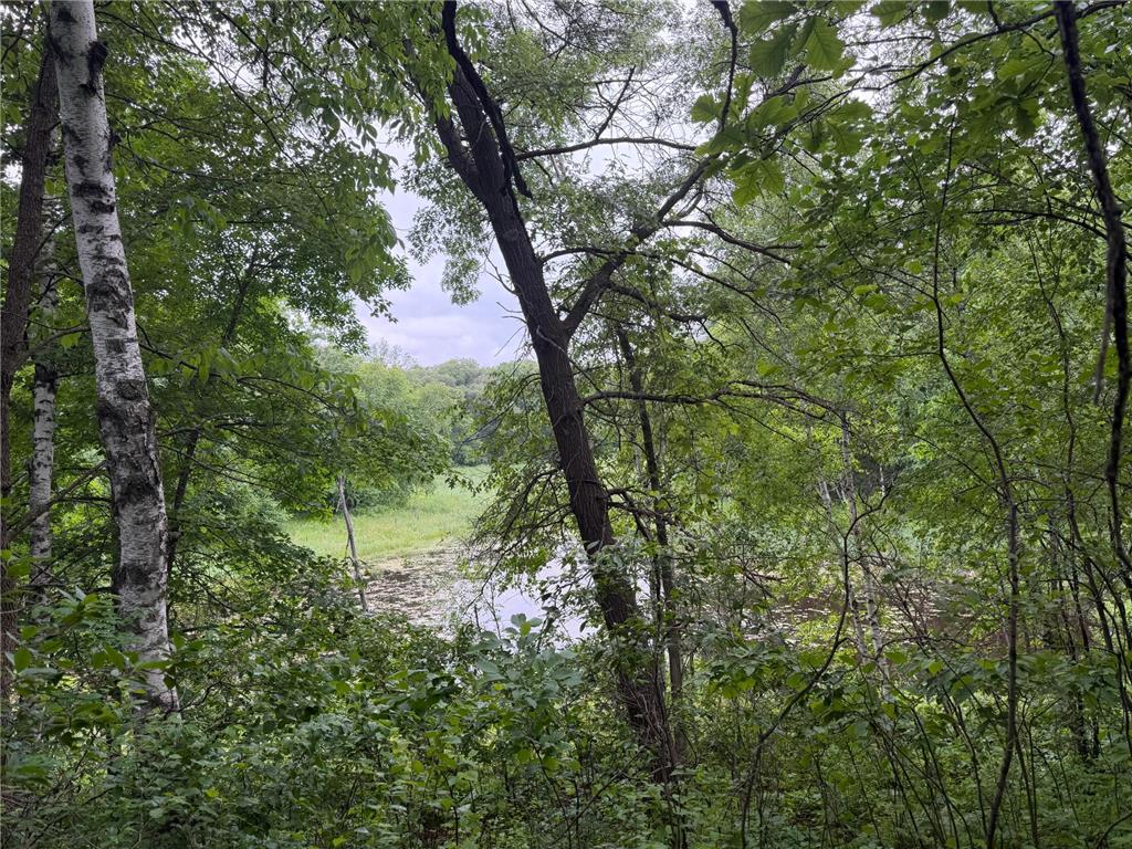 TBD 130th Street Burtrum MN 56318 7095387 image53