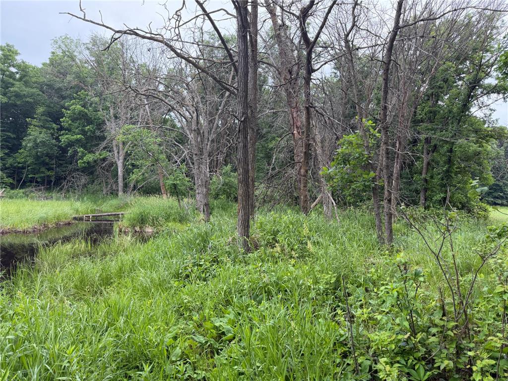 TBD 130th Street Burtrum MN 56318 7095387 image54