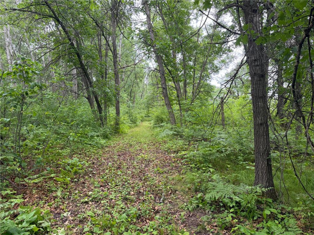 TBD 130th Street Burtrum MN 56318 7095387 image55