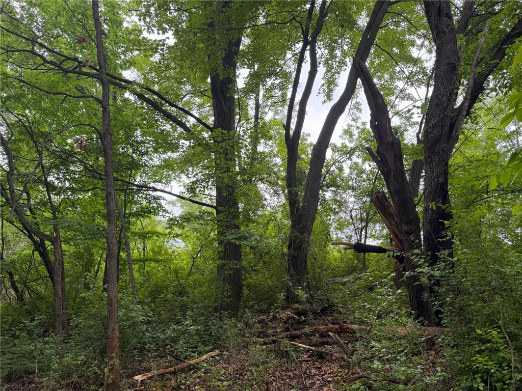 TBD 130th Street Burtrum MN 56318 7095387 image56