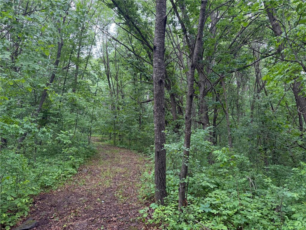 TBD 130th Street Burtrum MN 56318 7095387 image58