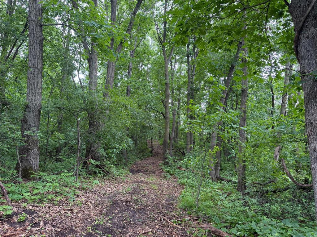 TBD 130th Street Burtrum MN 56318 7095387 image59