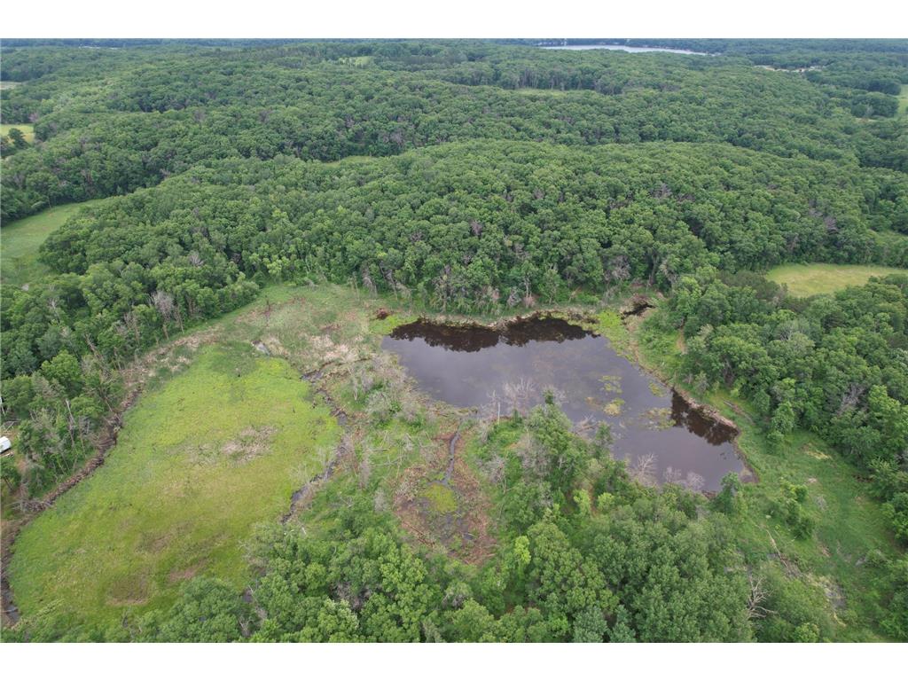 TBD 130th Street Burtrum MN 56318 7095387 image6