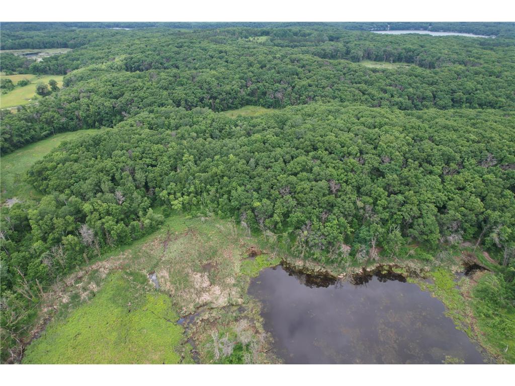TBD 130th Street Burtrum MN 56318 7095387 image7