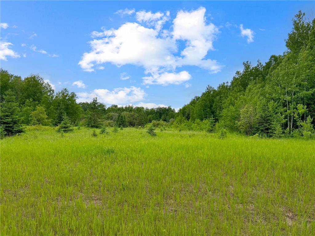 TBD 131st Avenue Laprairie Twp MN 56621 6552150 image1