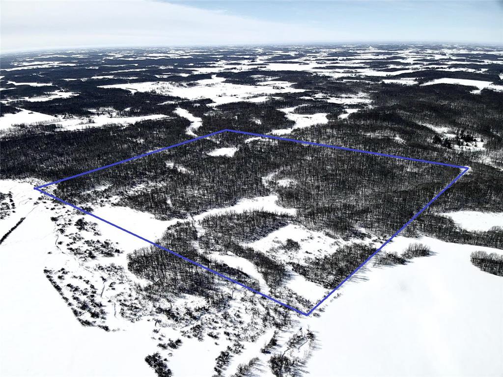 TBD-133Ac 93rd St Lakin Twp MN 56338 6339129 image1