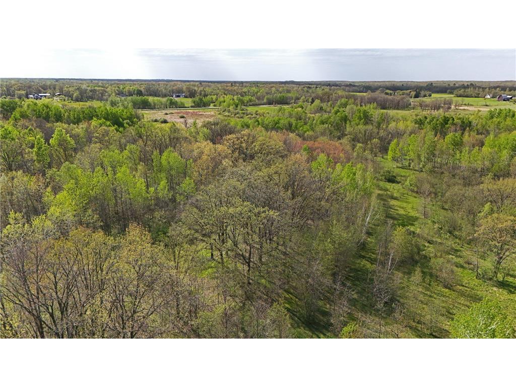 TBD 135th Street NE Foreston MN 56330 7076000 image13