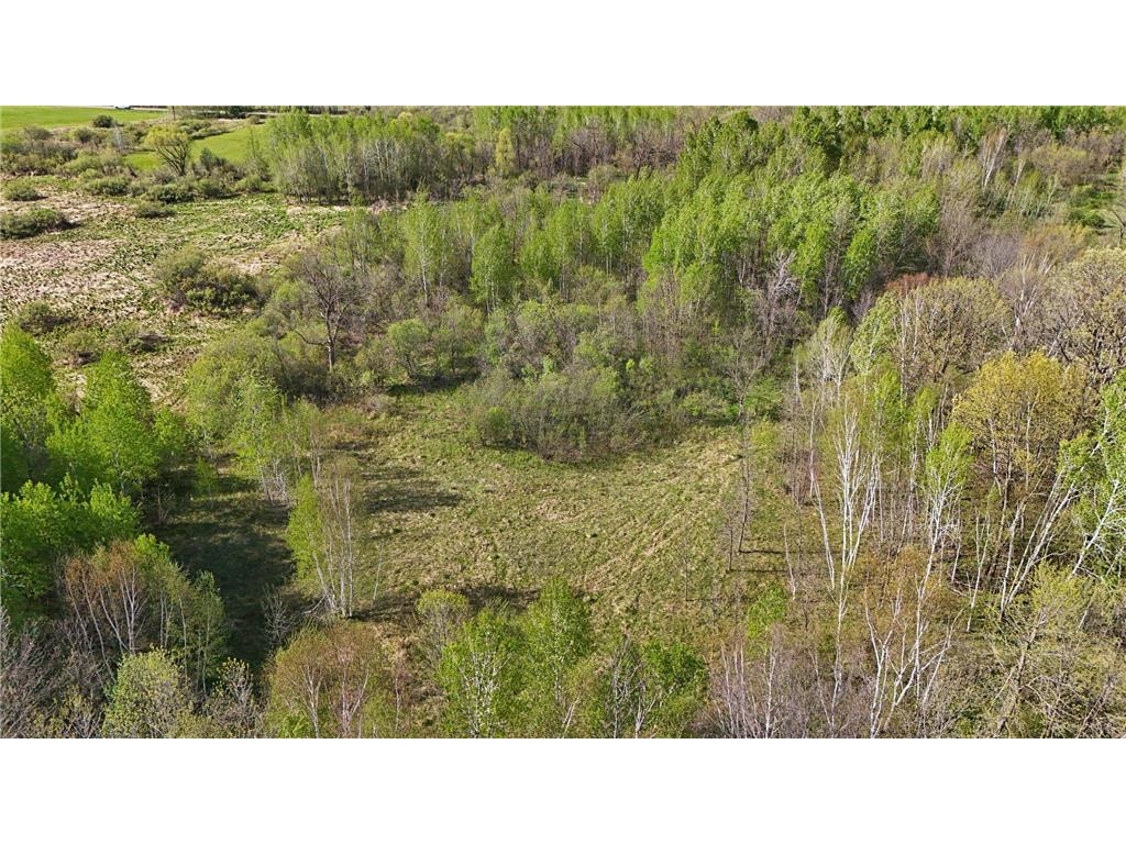 TBD 135th Street NE Foreston MN 56330 7076000 image19