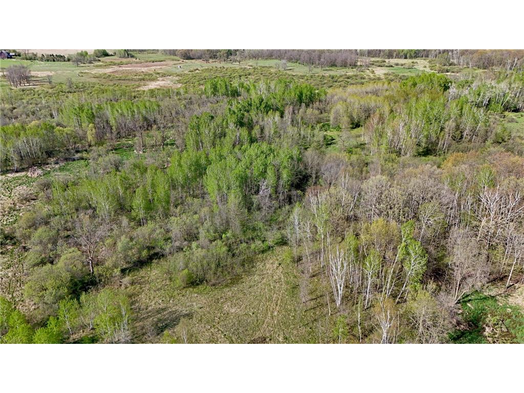 TBD 135th Street NE Foreston MN 56330 7076000 image20