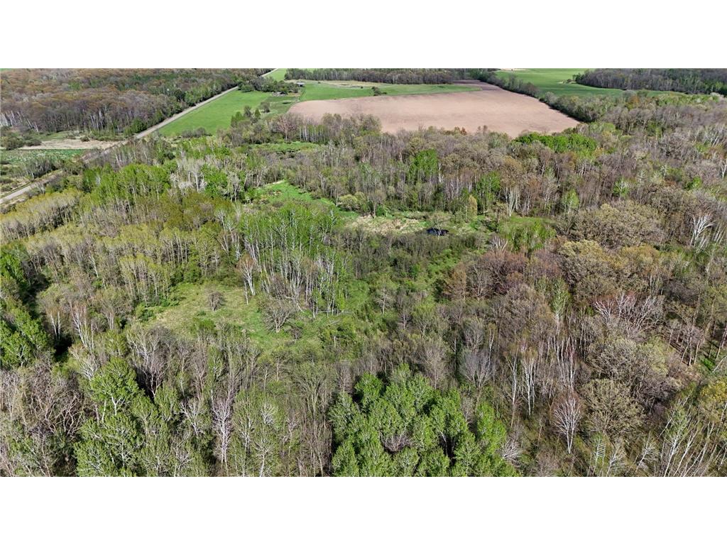 TBD 135th Street NE Foreston MN 56330 7076000 image22