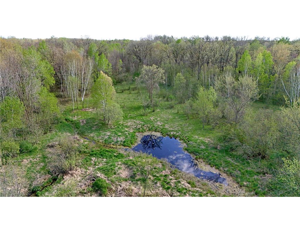 TBD 135th Street NE Foreston MN 56330 7076000 image24