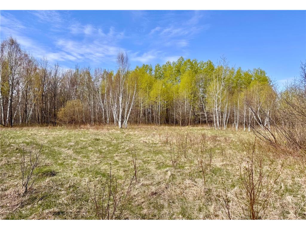 TBD 135th Street NE Foreston MN 56330 7076000 image28