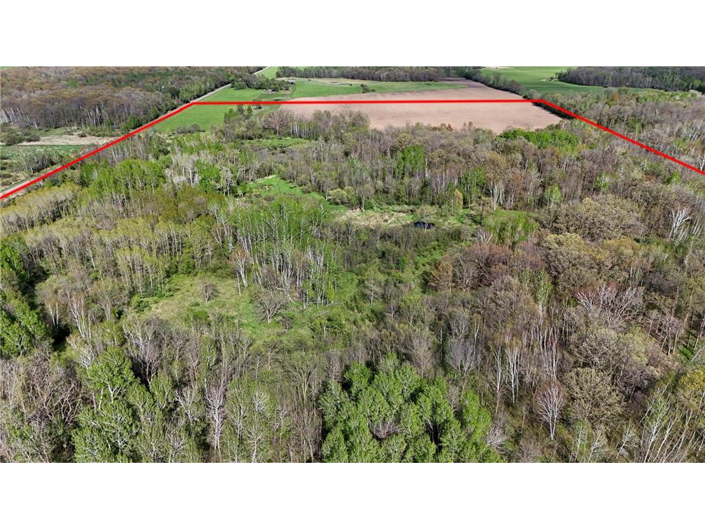 TBD 135th Street NE Foreston MN 56330 7076000 image6