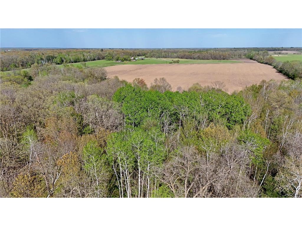 TBD 135th Street NE Foreston MN 56330 7076000 image9