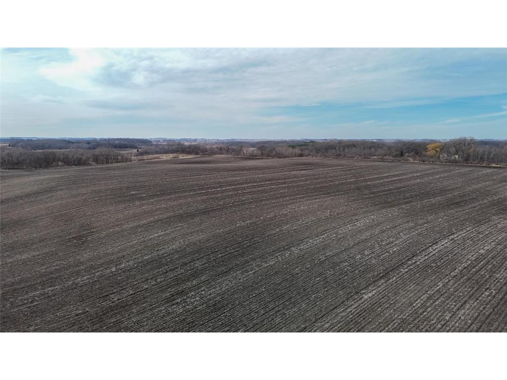 TBD 135th Street Nunda Twp MN 56089 7052951 image17