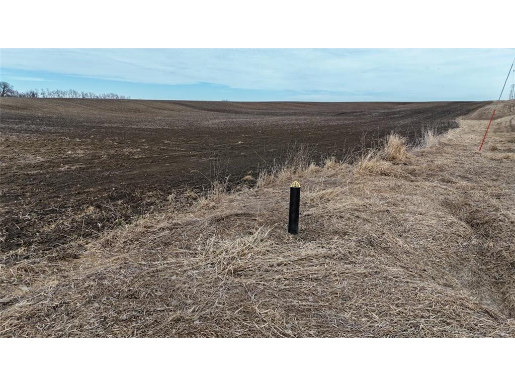 TBD 135th Street Nunda Twp MN 56089 7052951 image20