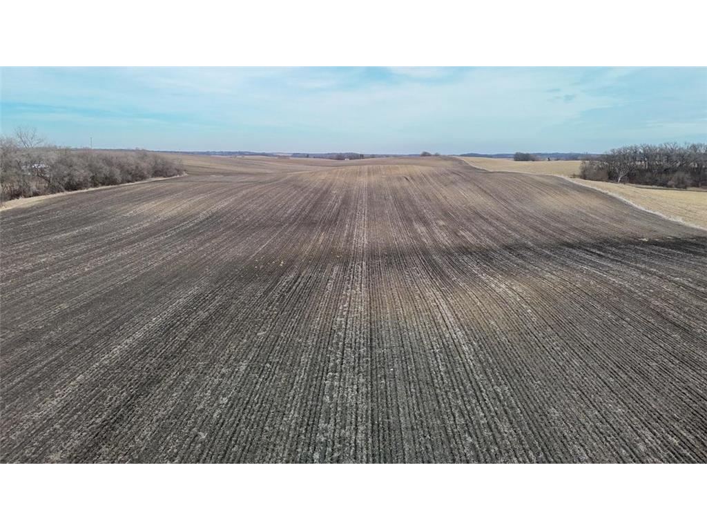 TBD 135th Street Nunda Twp MN 56089 7052951 image6