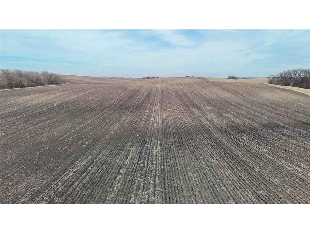 TBD 135th Street Nunda Twp MN 56089 7052951 image7