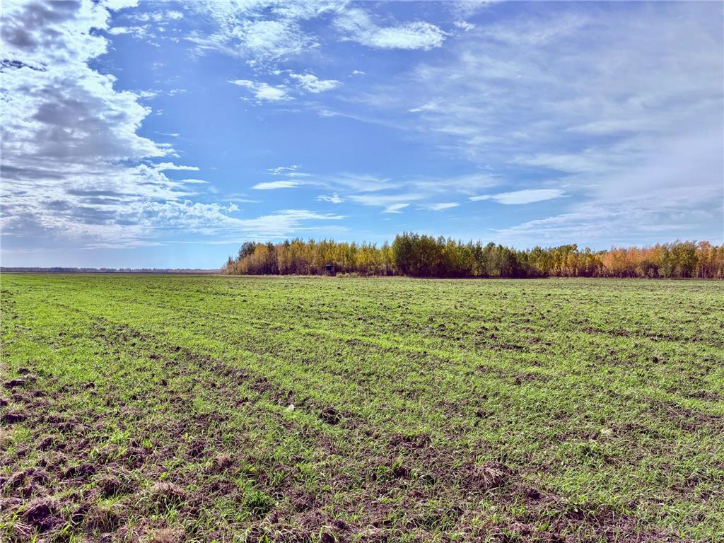 TBD 13th Ave SW Baudette MN 56623 6798253 image1