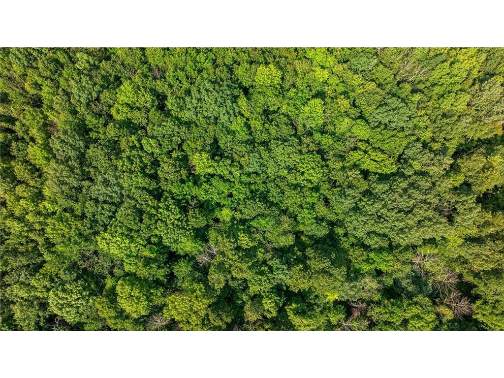 TBD 140th Avenue Emerald WI 54013 6826532 image4