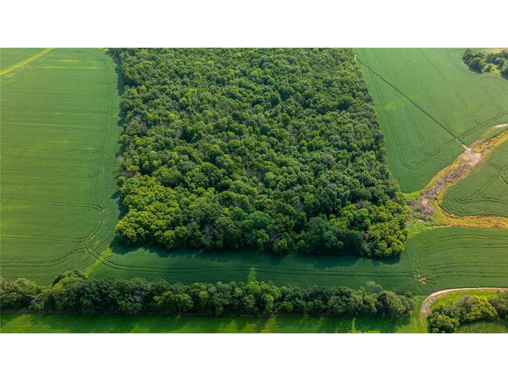 TBD 140th Avenue Emerald WI 54013 6826532 image6