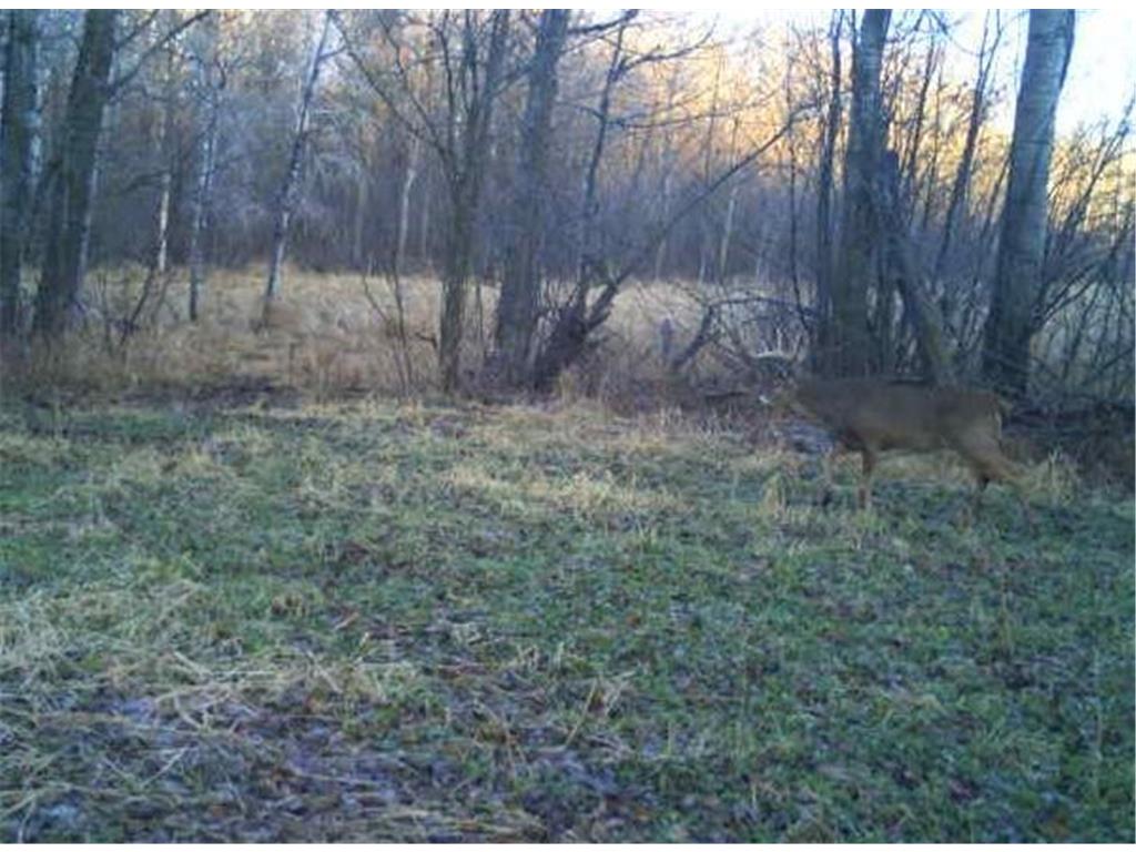 TBD 140th Street Evergreen Twp MN 56544 7085728 image126