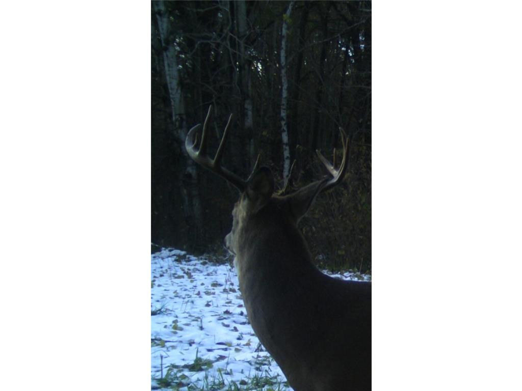 TBD 140th Street Evergreen Twp MN 56544 7085728 image128