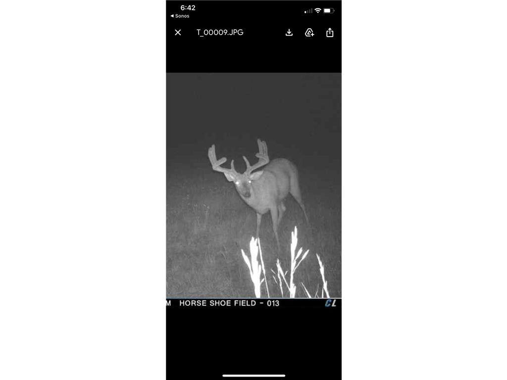 TBD 140th Street Evergreen Twp MN 56544 7085728 image132