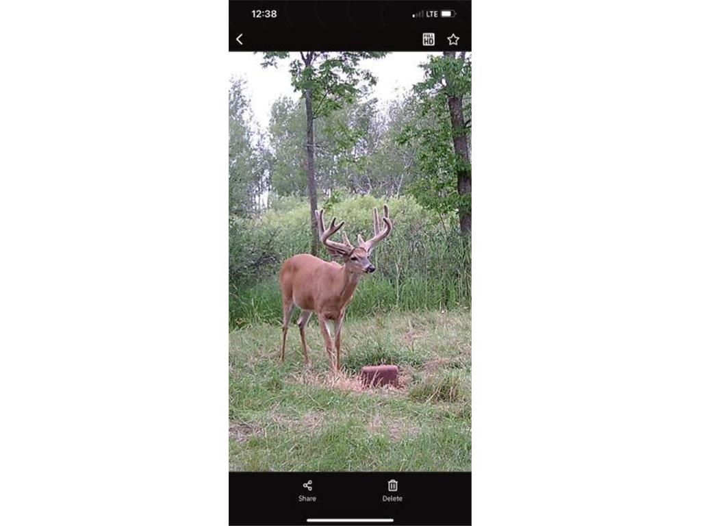 TBD 140th Street Evergreen Twp MN 56544 7085728 image137