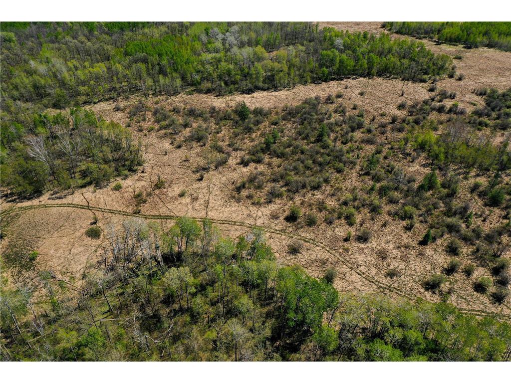 TBD 140th Street Evergreen Twp MN 56544 7085728 image17
