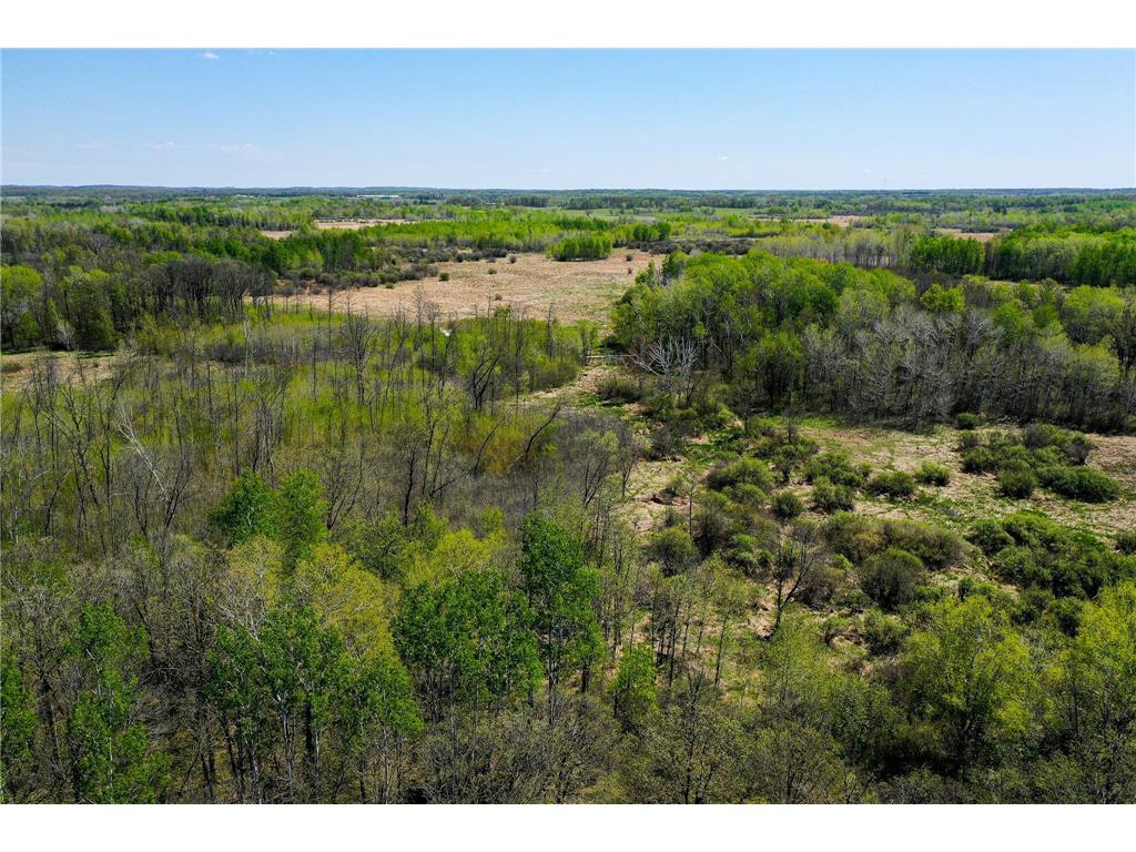TBD 140th Street Evergreen Twp MN 56544 7085728 image2